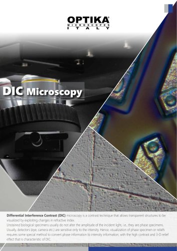 DIC Microscopy