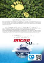 ANTEA-7