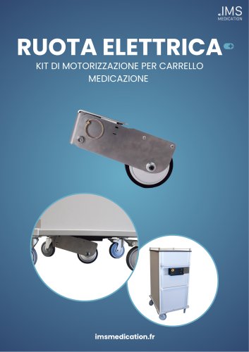 istruzioni ruota elettrica