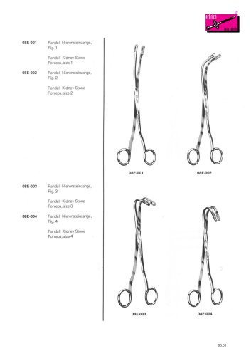 Bile and kidney