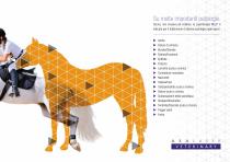 Catalogo EQUINE 2014 - 3